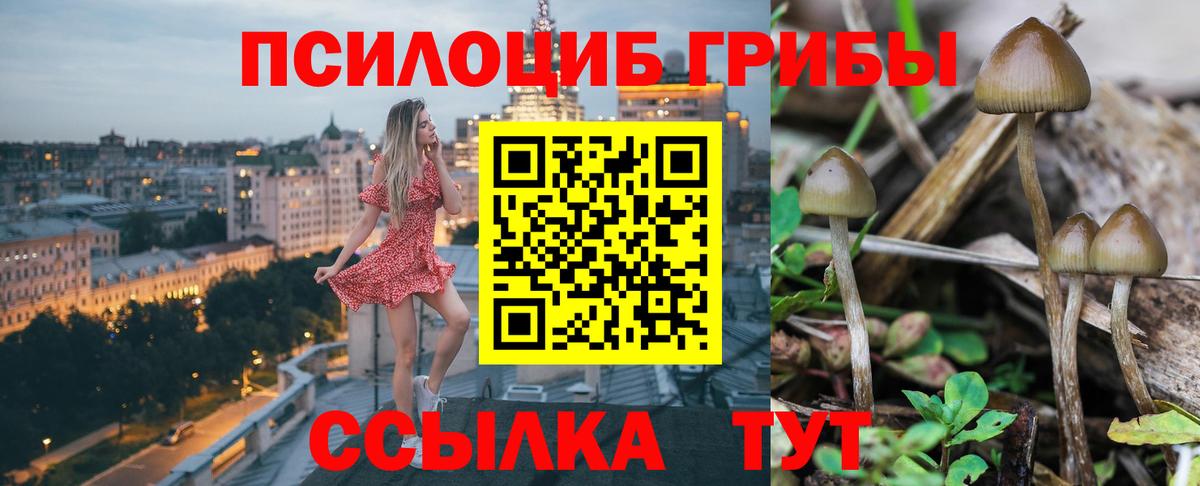Галлюциногенные грибы мухоморы  Вход с VPN  Энгельс  цены наркотик  Галлюциногенные грибы MAGIC MUSHROOMS 